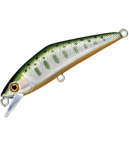 Amazon.co.jp: スミス(SMITH LTD) トップウォーター 亀主 [カメヌシ